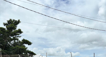 Operação investiga esquema de R$ 190 milhões em sonegação no setor de carnes